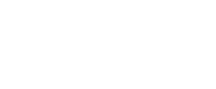 Nepexto-logo